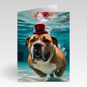 Aquapaws Bullgog with Little Red Hat Card