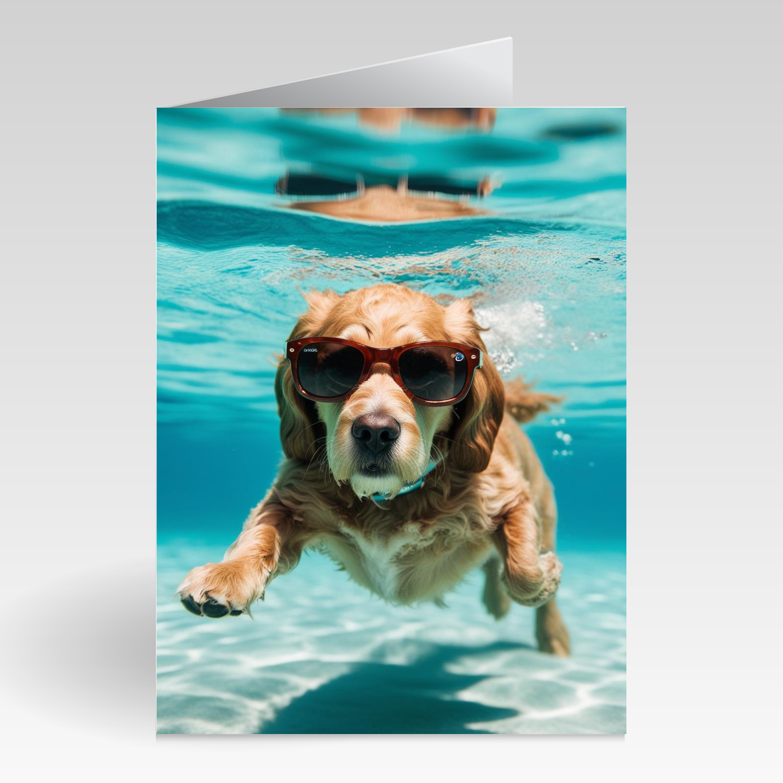 Auqapaws Cockapoo with Brown Sunglasses On Card