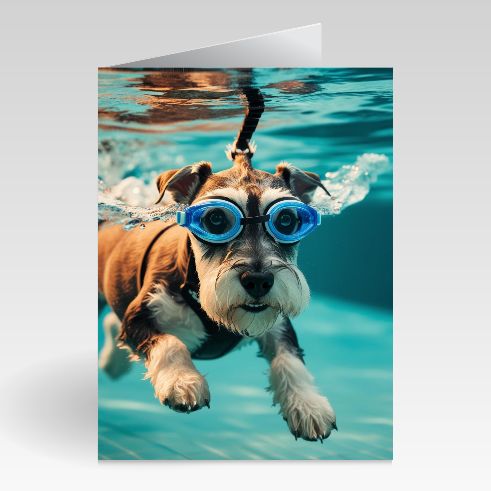 Auqapaws Schnauzer With Goggles and Snorkle On Card